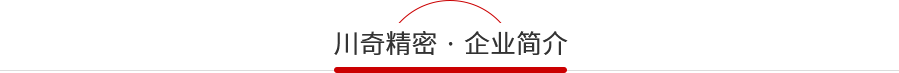 91视频在线公司簡介